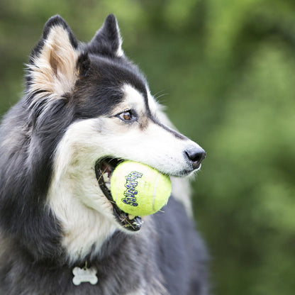 Squeaker Air Tennis Ball