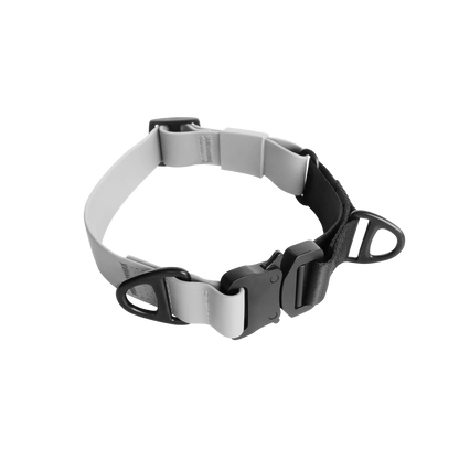 AVA MARTINGALE Quick-release metal buckle collar
