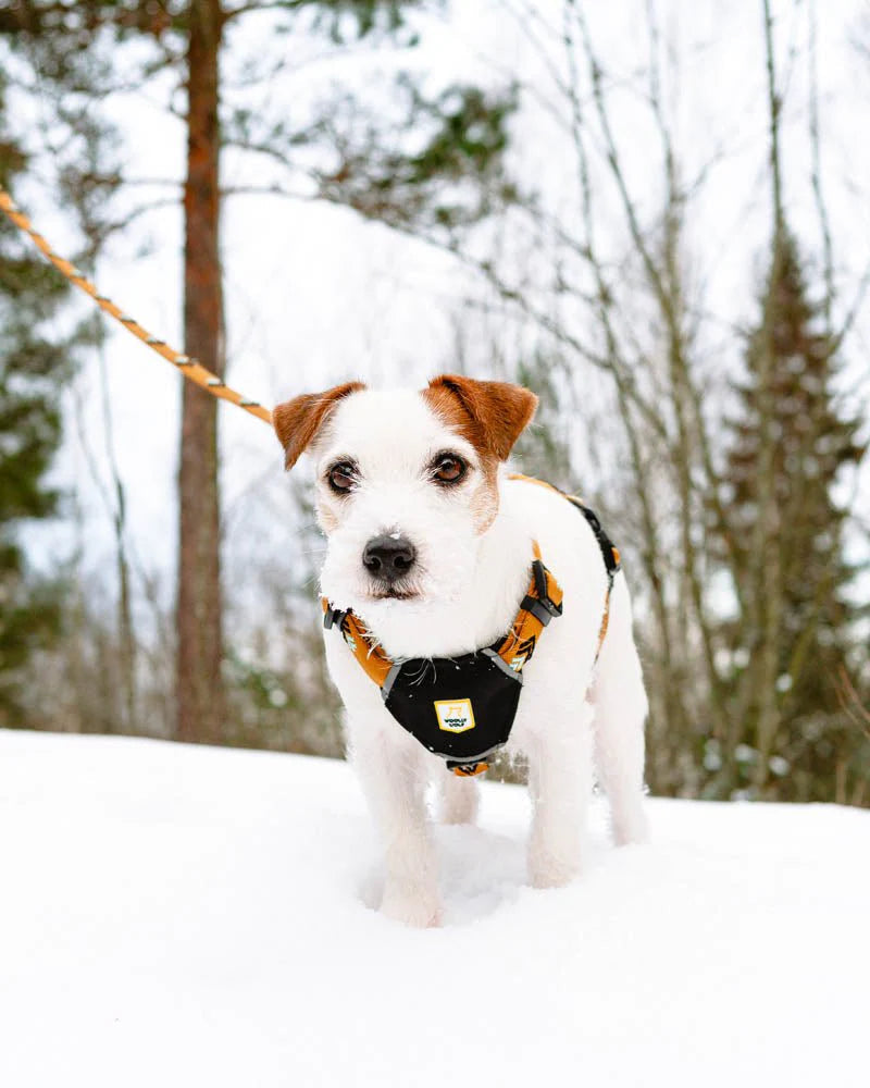 Sea to Summit Harness