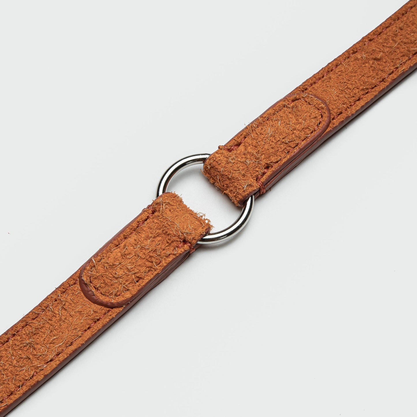 Dog Leash Hofgarten