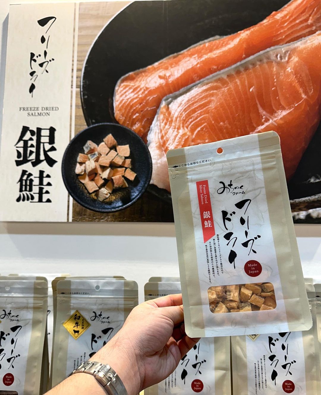 Freeze Dried Coho Salmon 40g