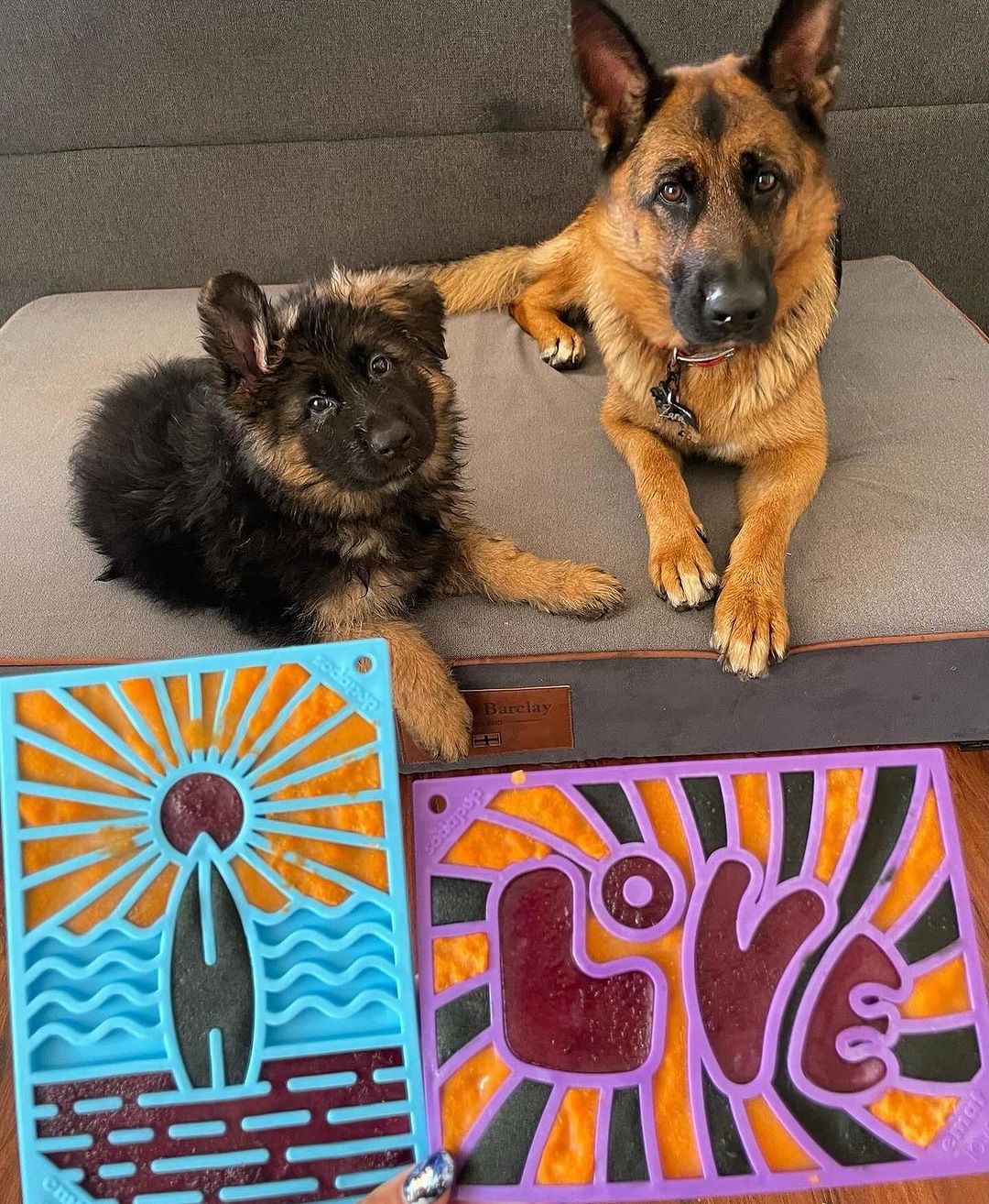 Surf's Up Design - Enrichment Lick Mat