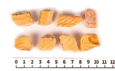 Freeze Dried Coho Salmon 40g