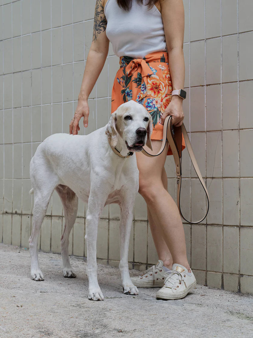 Chaco Dog Leash