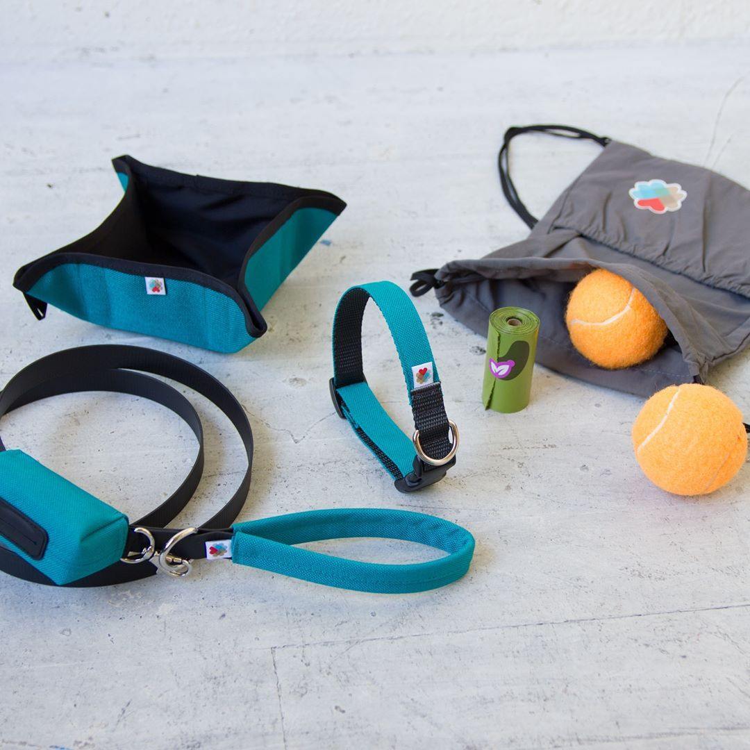 Funston Dog Collar