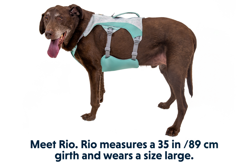Swamp Cooler™ Pet Cooling Harness
