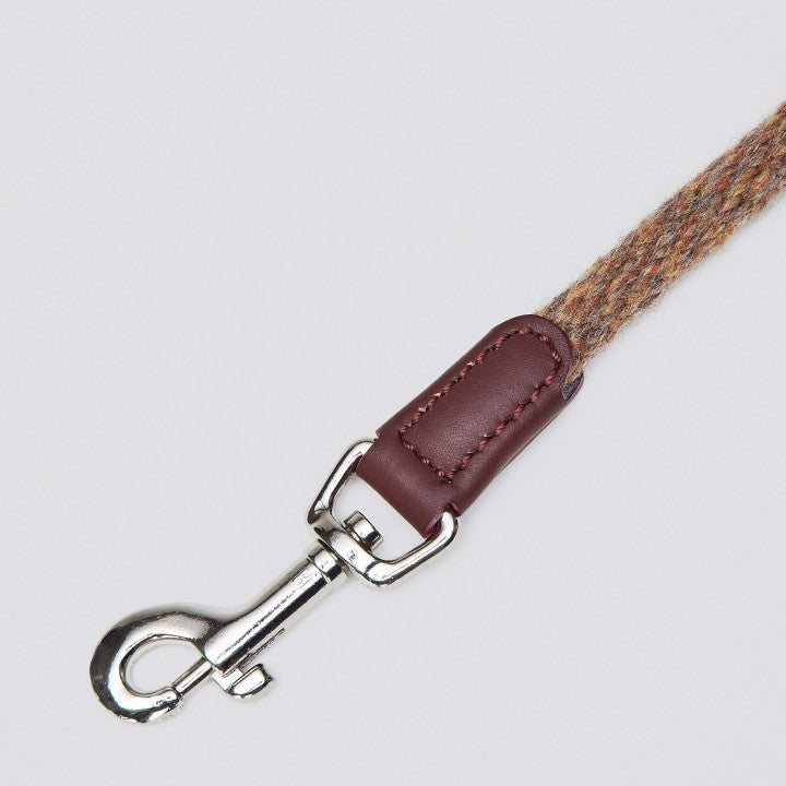 Dog Leash Vondelpark
