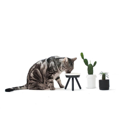 Pet Bowl - Oreo Table