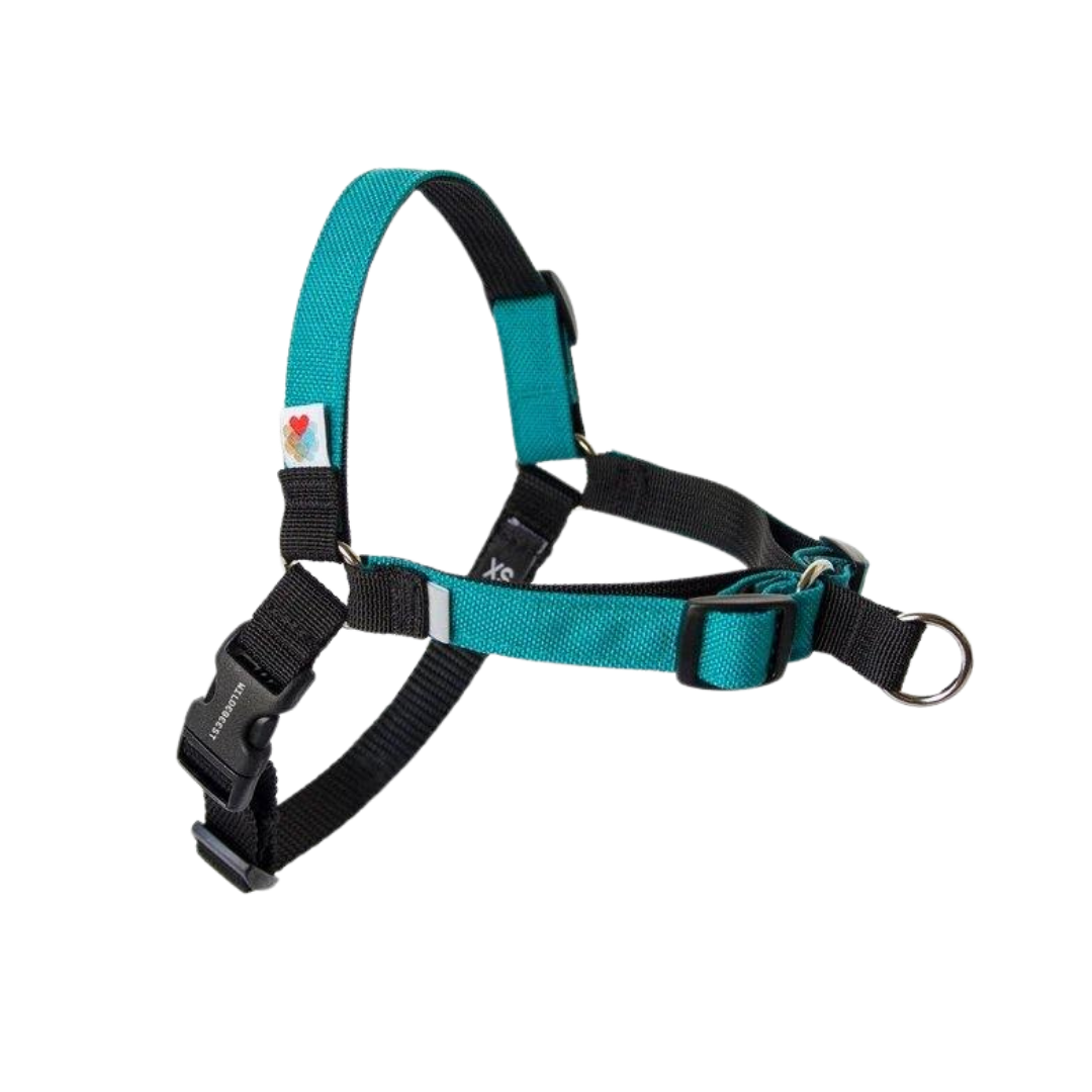 Linden No Pull Harness