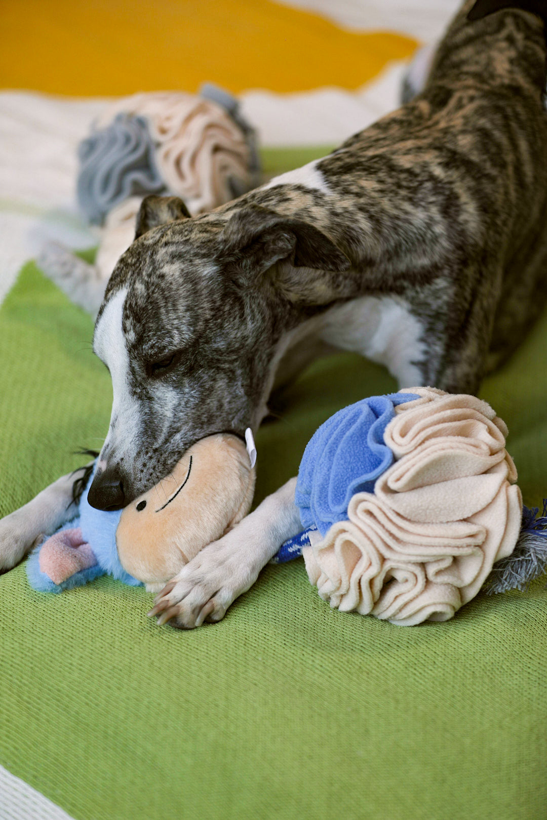 Animal Snuffle Ball Toy