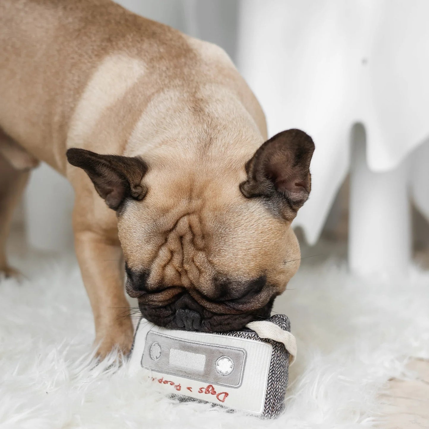 CASSETTE - snuffle + squeaky