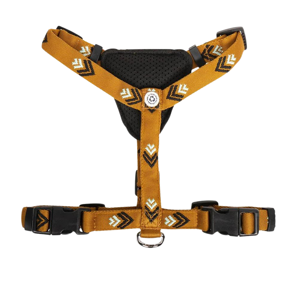 Sea to Summit Harness