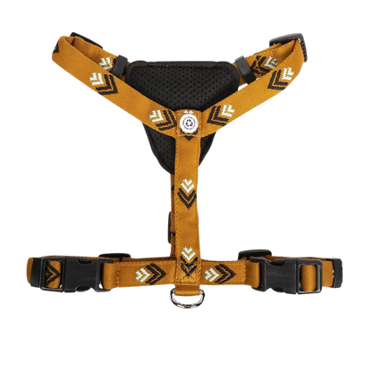 Sea to Summit Harness