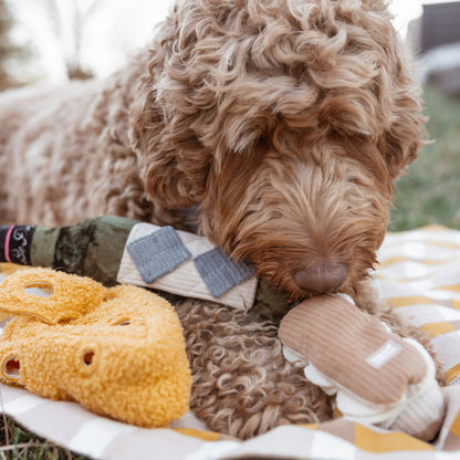 ECLAIR Squeaky + Snuffle Toy