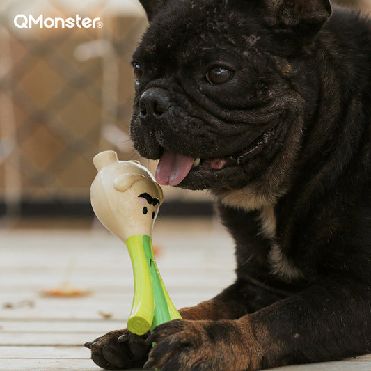 Mr Leek Rubber Dog Toy