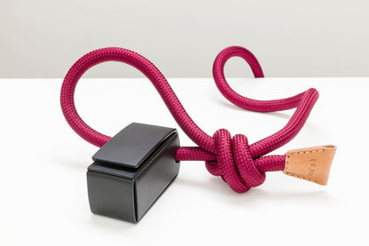 Dog Harness Ray