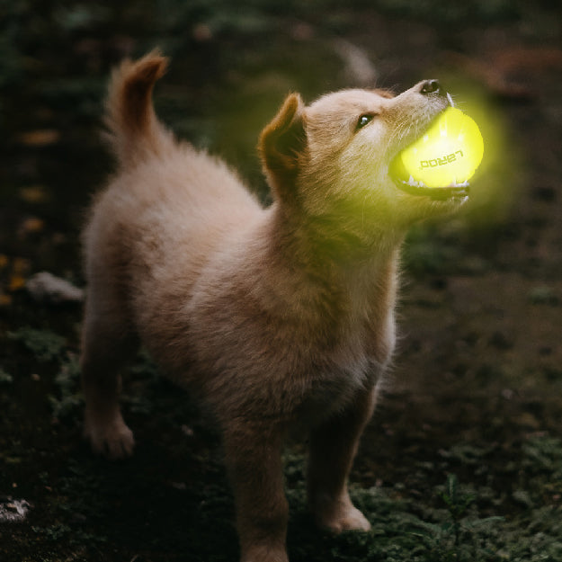 Glow Ball Toy