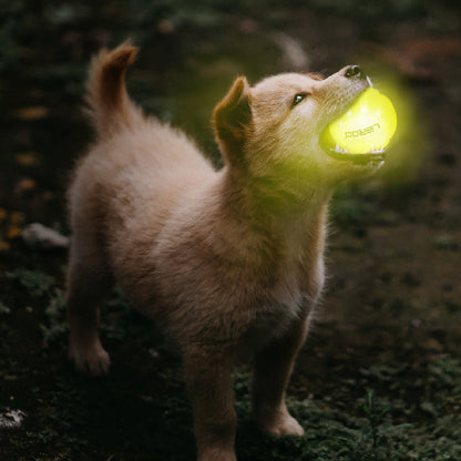 Glow Ball Toy