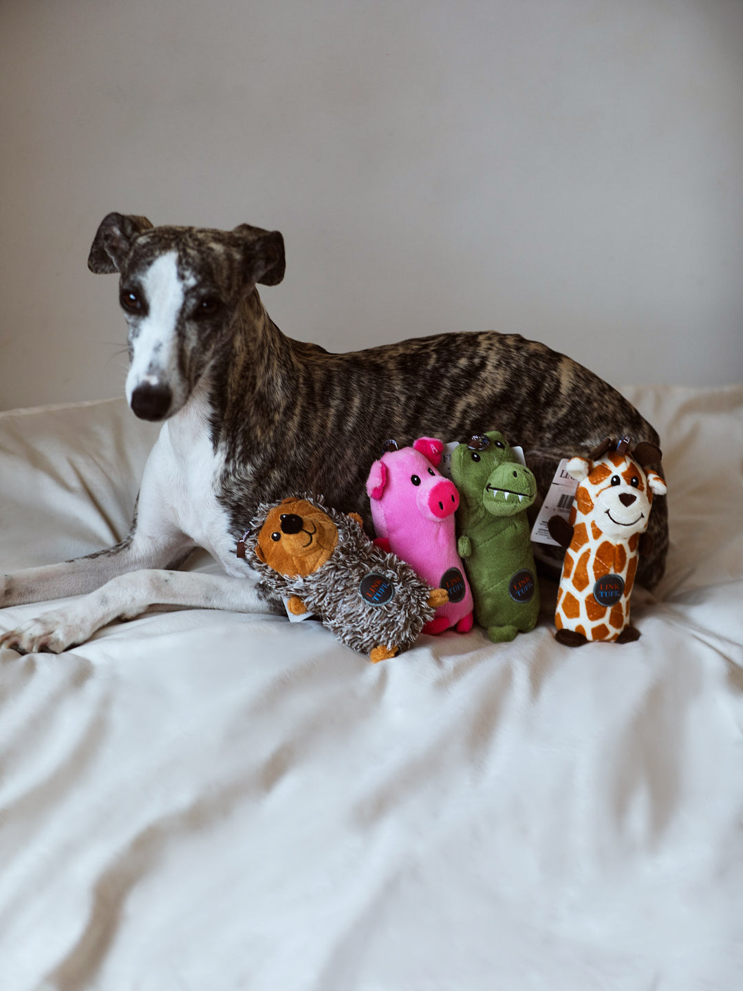 Animal Babies Bottle Toy