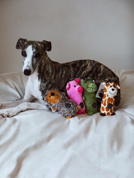 Animal Babies Bottle Toy