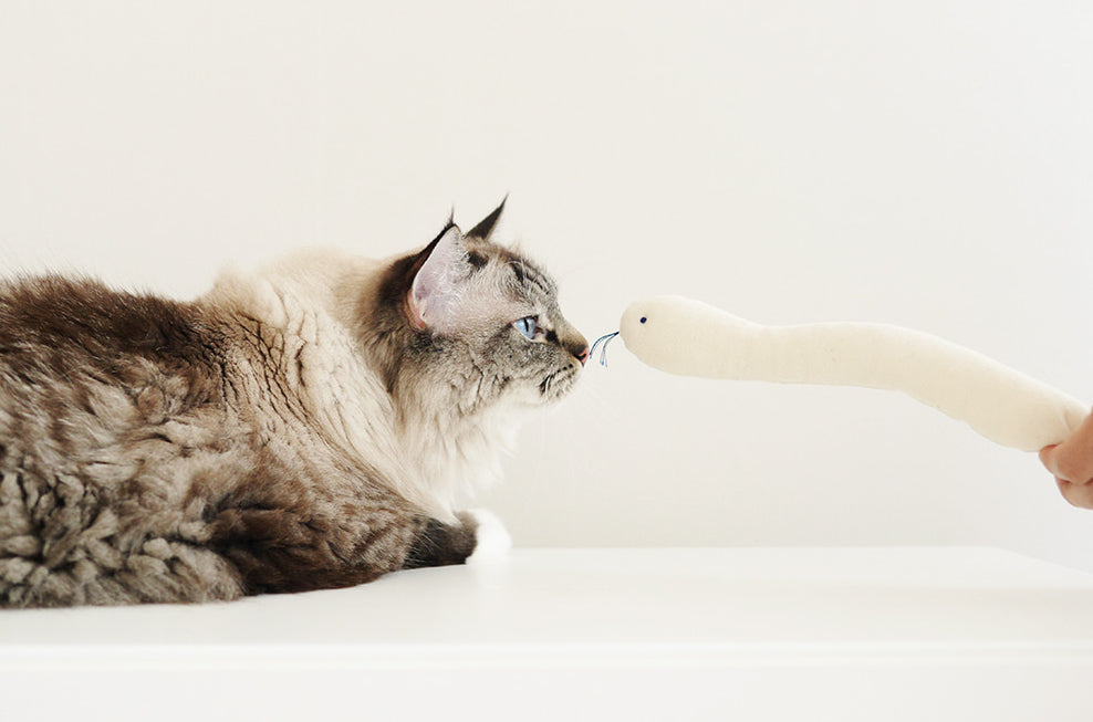 Cat Toy Boa Snake