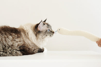 Cat Toy Boa Snake