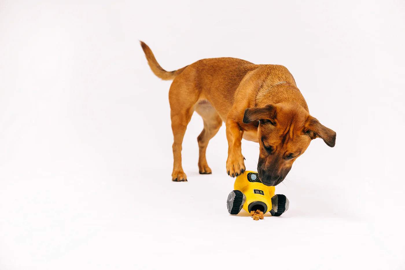 Dog Plush Toy - Alien Buddies