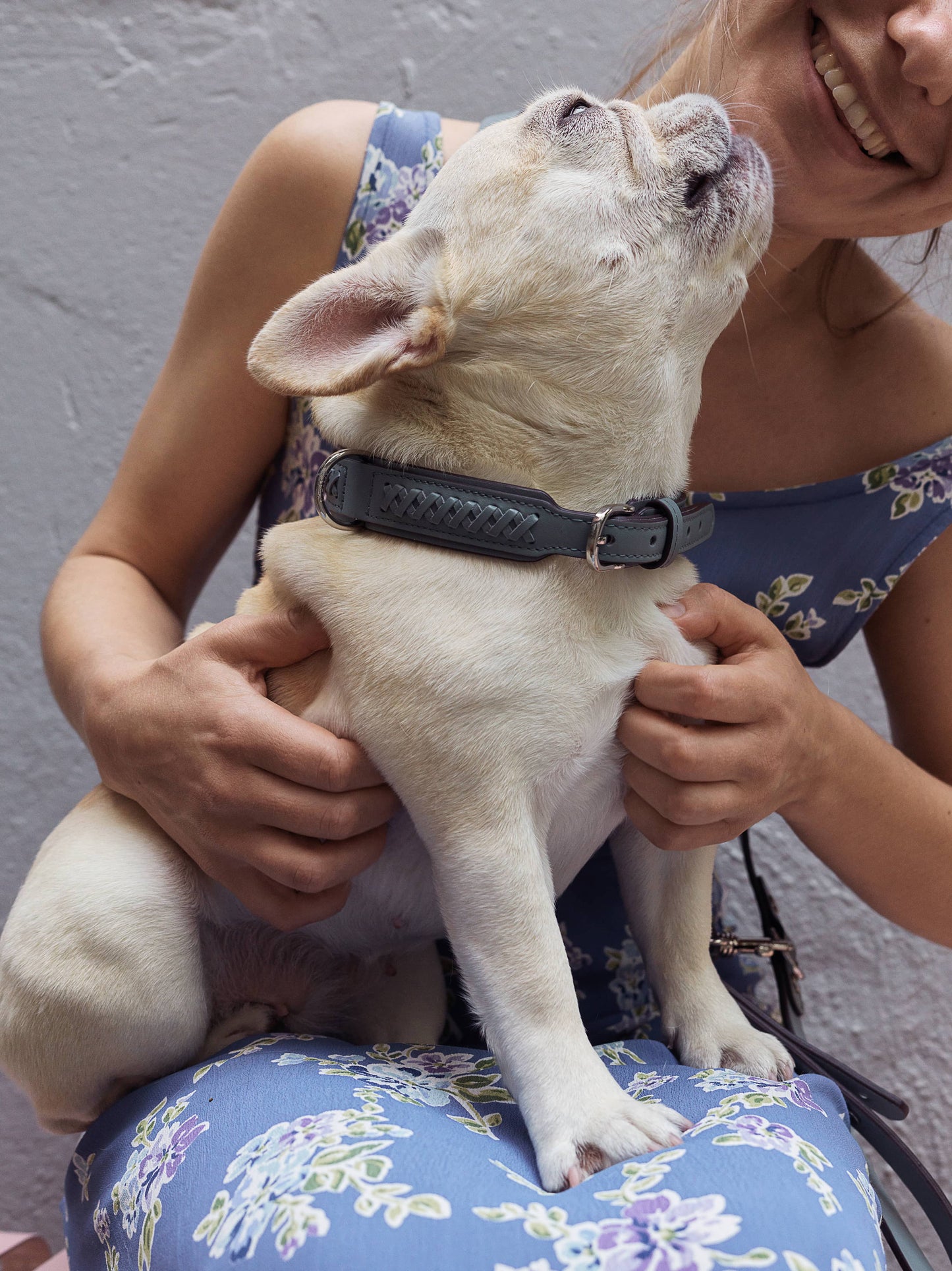 Mistico Dog Collar