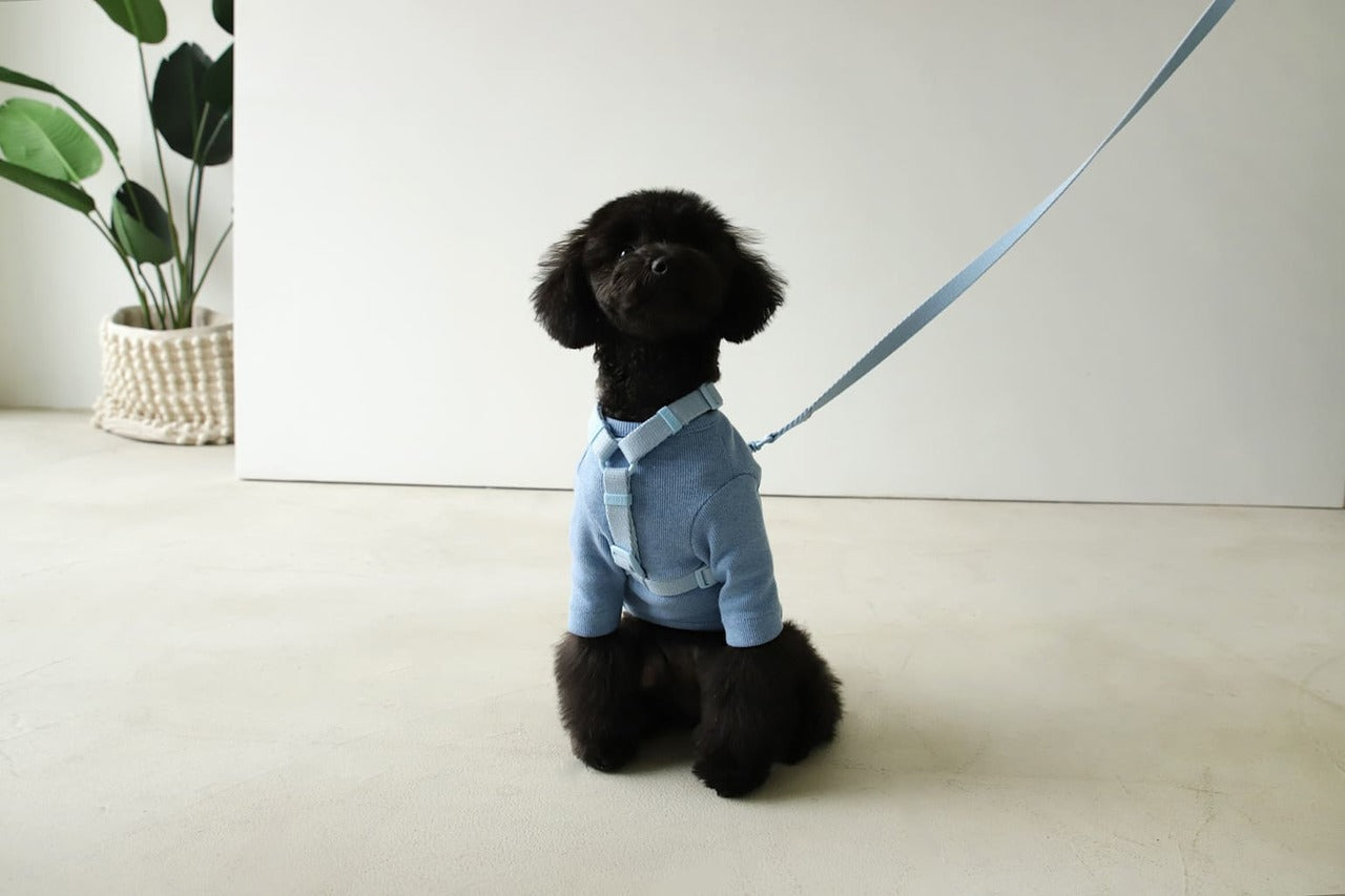 Macaron Pet Harness