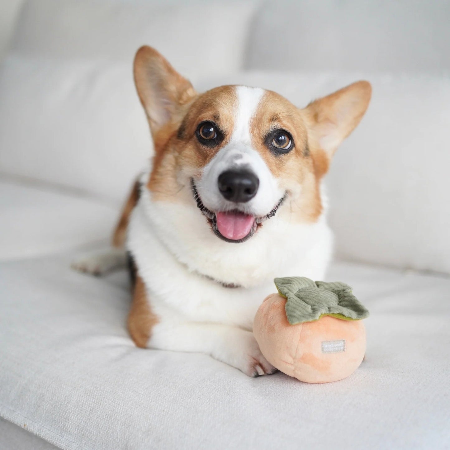 Persimmon - Squeaky & Snuffle Toy