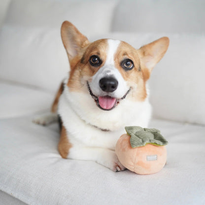 Persimmon - Squeaky & Snuffle Toy