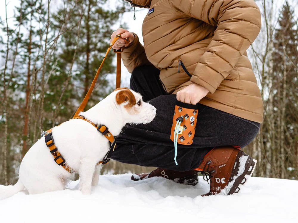 Sea to Summit Leash