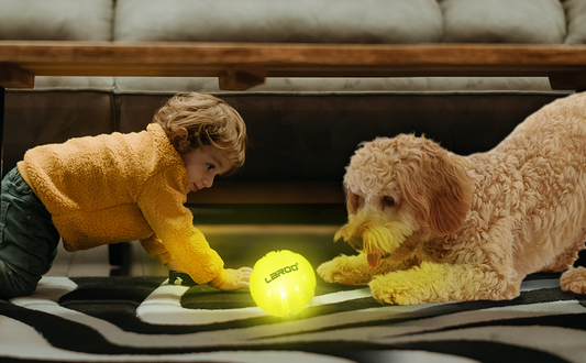 Glow Ball Toy