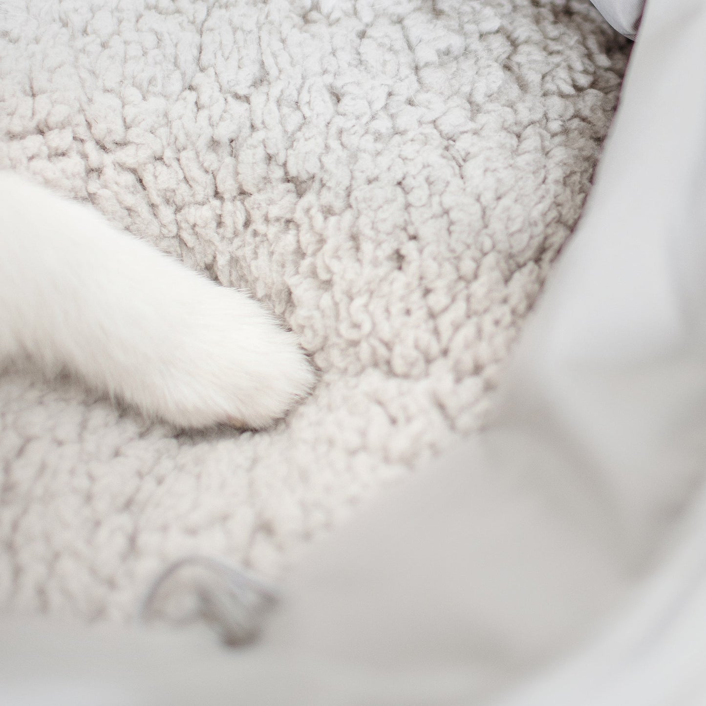 OLLA - Petitie Pet Carrycot