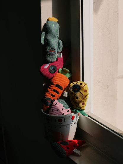 Fruit Catnip Toy