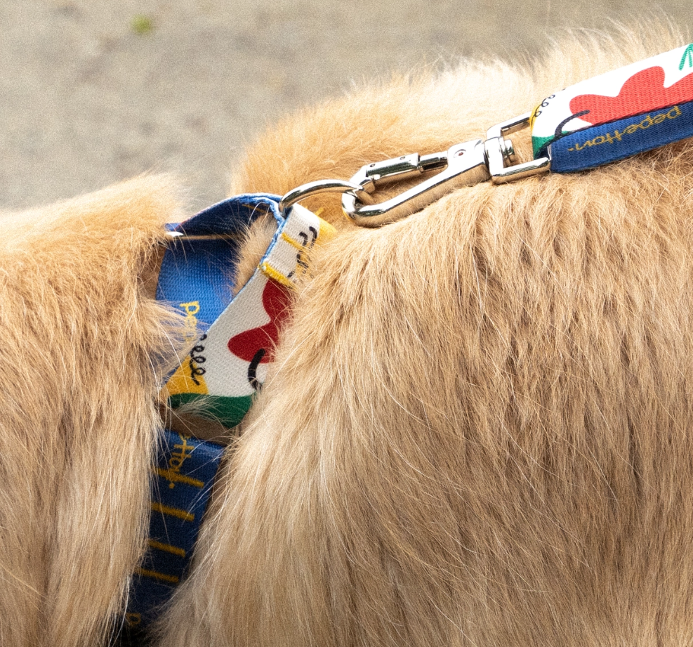 BAU - Martingale Collar