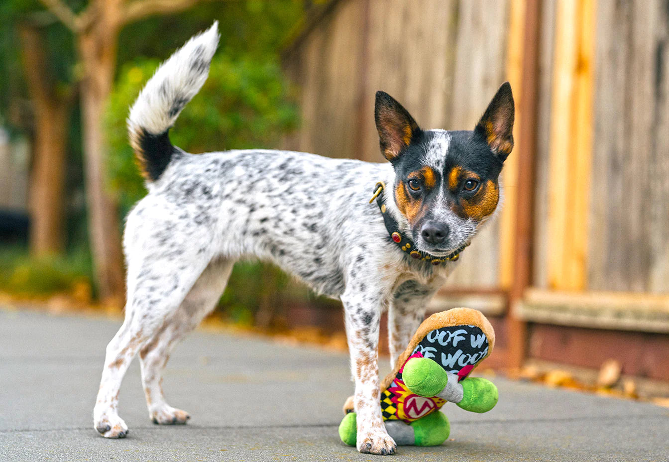 Dog Plush Toy -  90s Classic - Skateboard