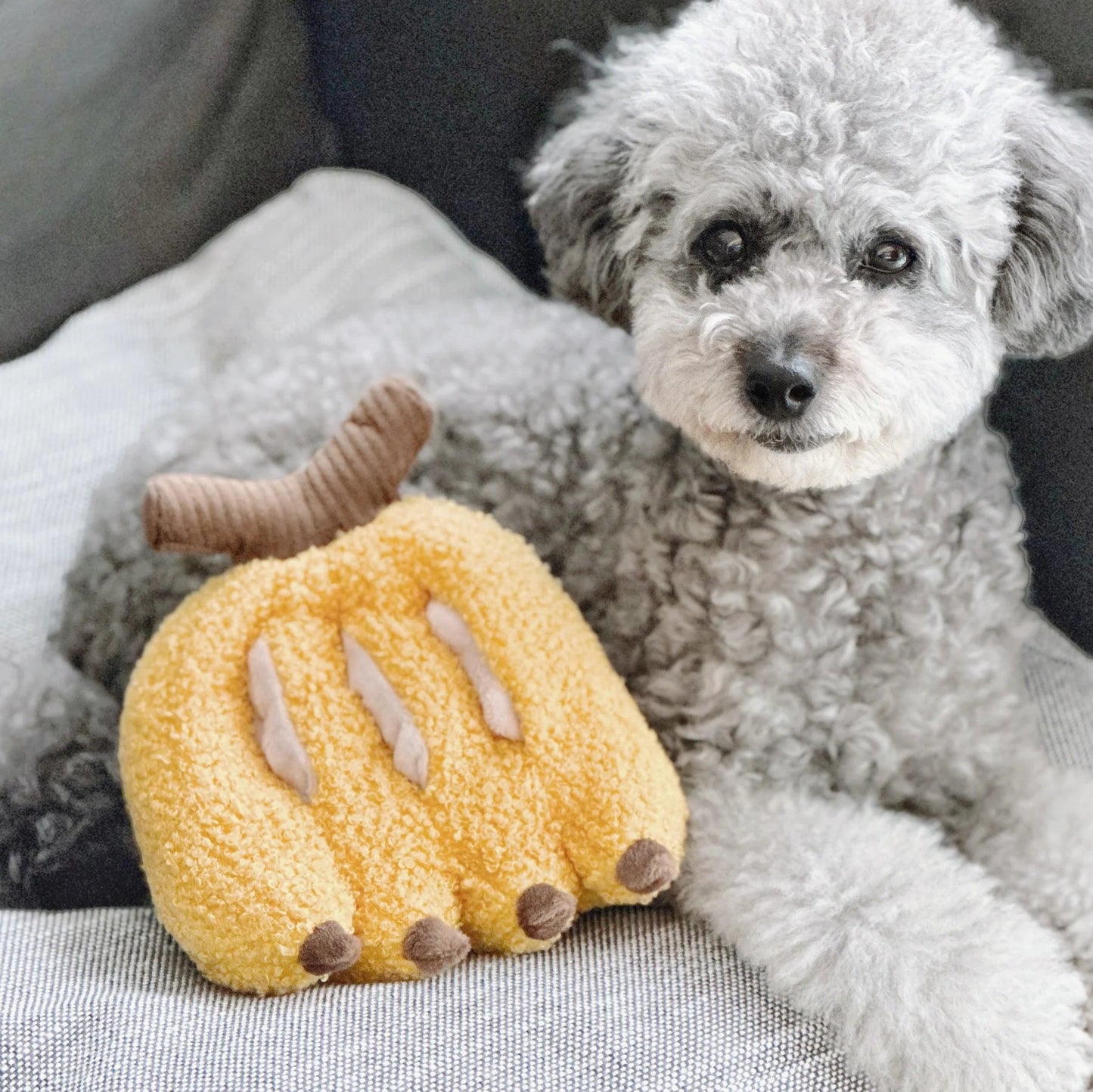 Banana - Squeaky + Snuffle Toy