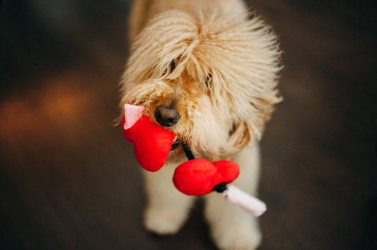 Dog Plush Toy - Puppy Love Collection