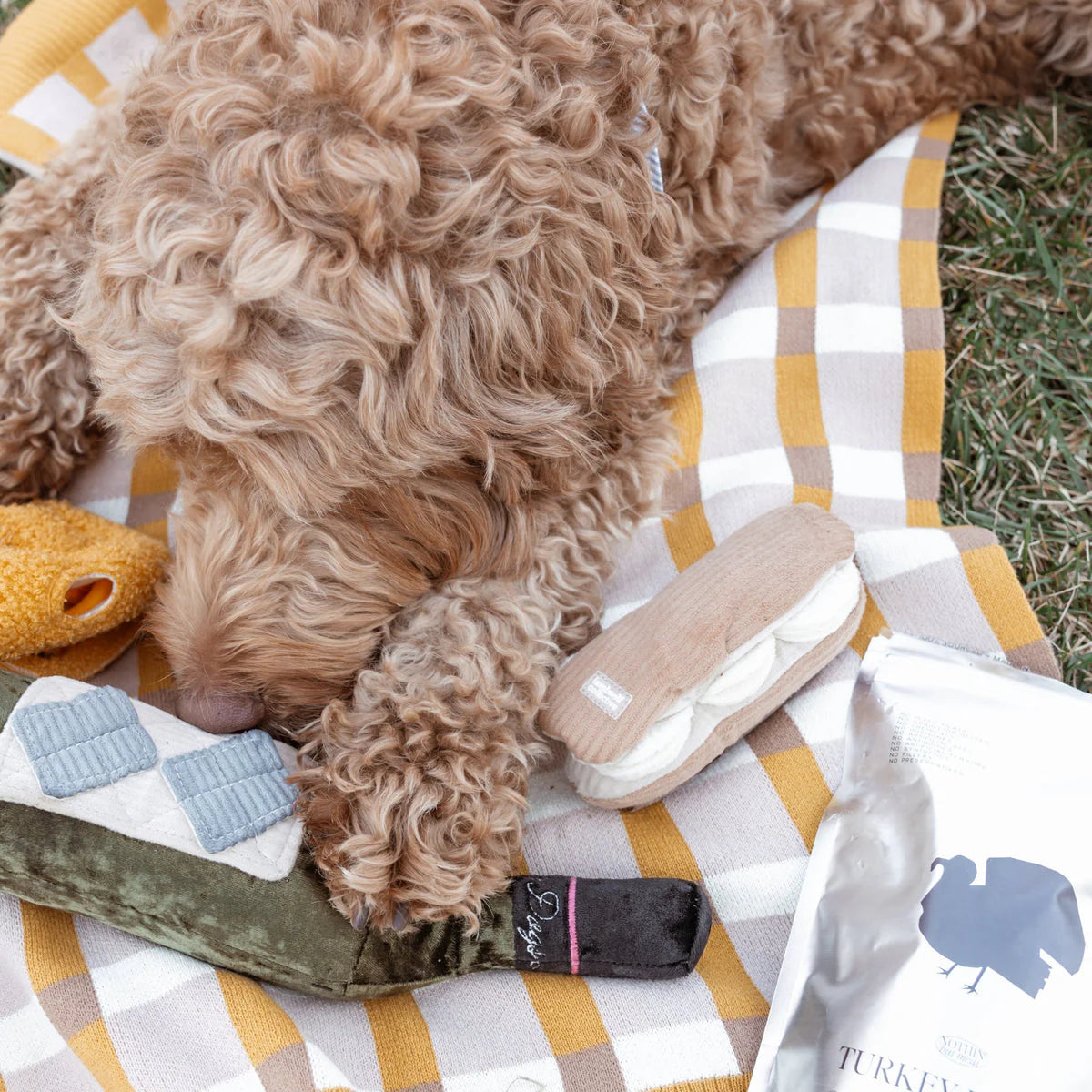 ECLAIR Squeaky + Snuffle Toy