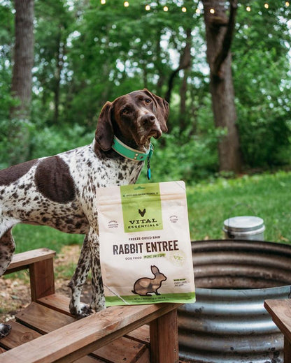 Vital Essentials - Freeze Dried Raw Dog Food - Rabbit Mini Nibs