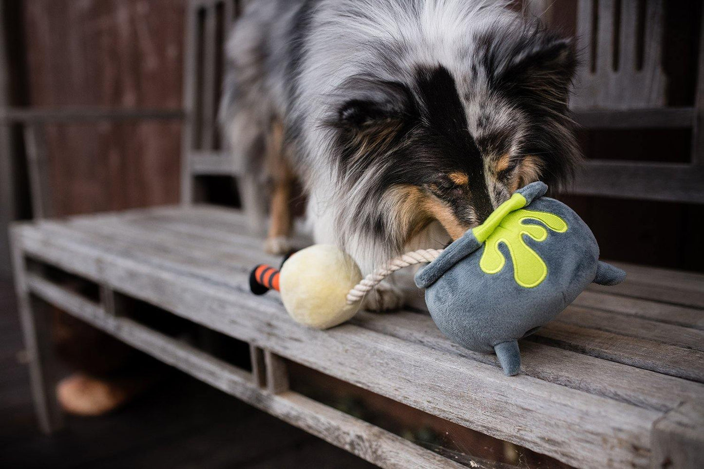Dog Plush Toy - Howling Haunts Collection