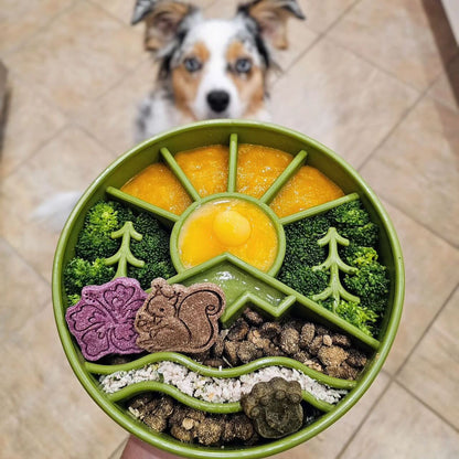 Great Outdoor Slow Feeder Bowl
