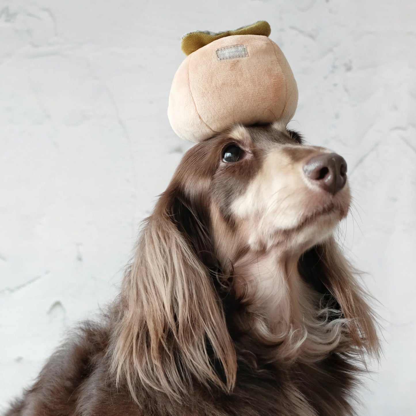 Persimmon - Squeaky & Snuffle Toy