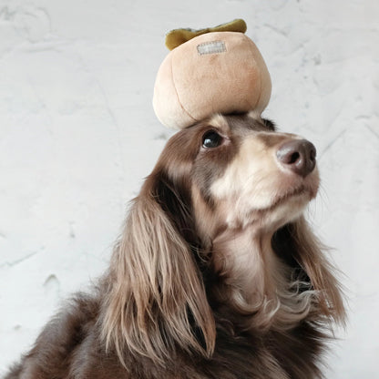 Persimmon - Squeaky & Snuffle Toy