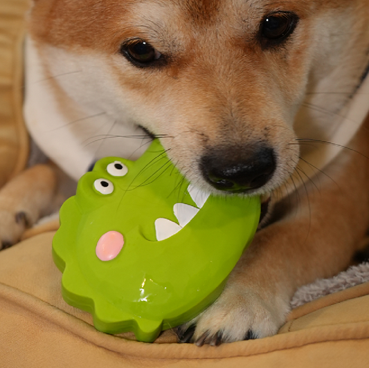Crocodile Latex Dog Toy