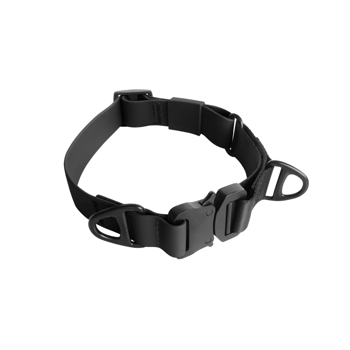 AVA MARTINGALE Quick-release metal buckle collar