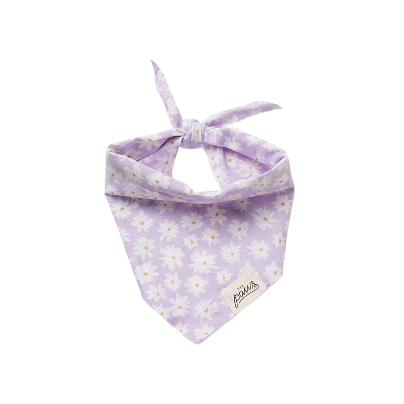 Bandanas - Belle