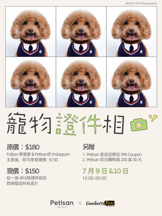 【已完結】寵物證件相