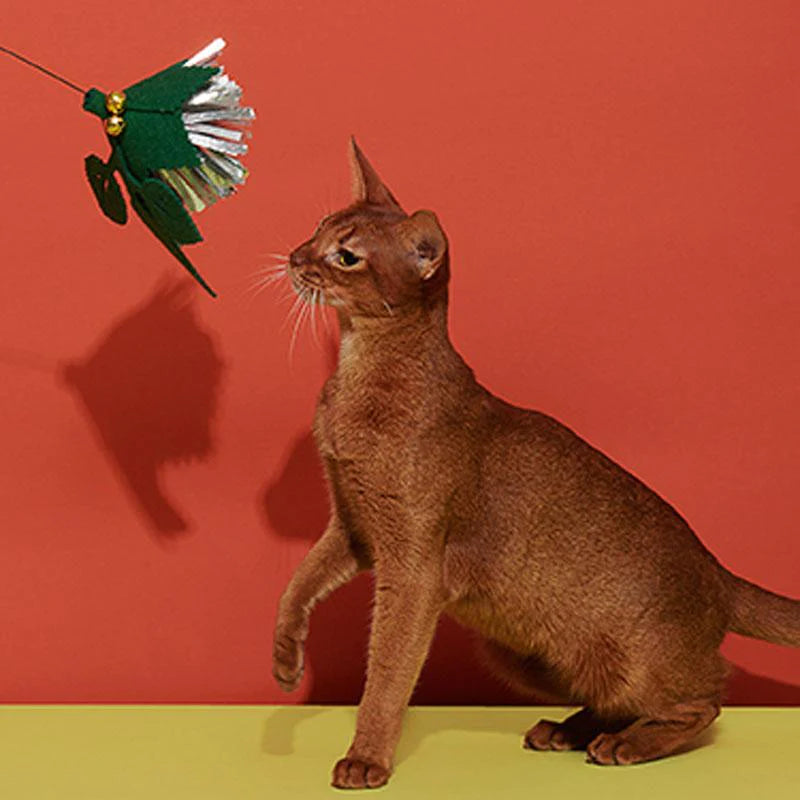 Cat Teaser